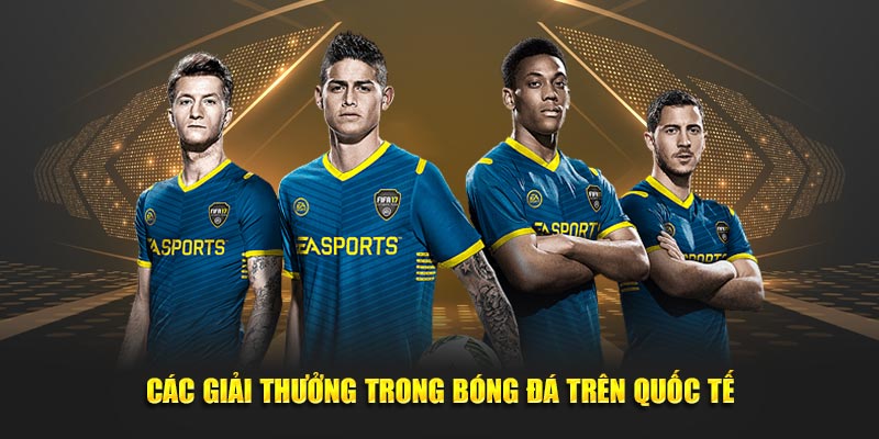Các giải thưởng trong bóng đá trên quốc tế