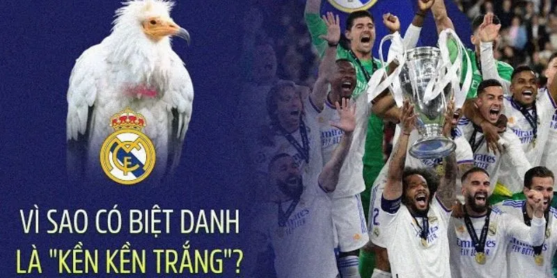 Kền kền trắng là biệt danh của đội bóng Real Madrid